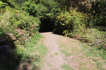 The Creekside loop natural surface trail begins with a steep slope – may be muddy